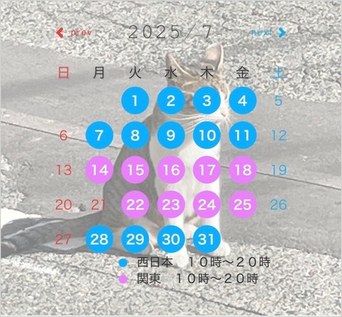 IMG_9255-262db.jpeg